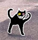 friend cat 2