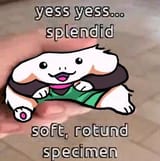 ralsei splendid specimen