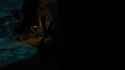 2021.01.04 - 20.46.44.47.DVR_thumb.jpg