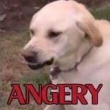Angery