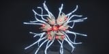 How-to-Beat-the-Consecrated-Mind-Destiny-2-Boss-Guide.avif