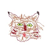 fasdfa