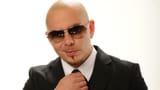 pitbull_741-orig1543920893