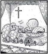 animals-turtle-tortoise-terrapin-funerals-open_caskets-tzun1244_low