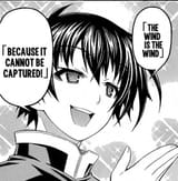 Kaze o tsukame
