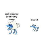 Sheep