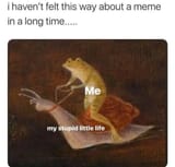 1736338934552704