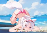 RC