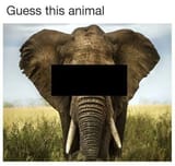 1725723675638