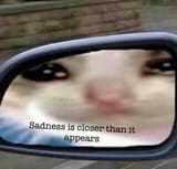 398489243249024092