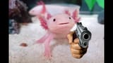 how about the fuck not, glubba