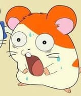 hamtaro