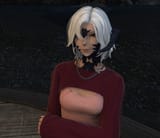 ffxiv_dx11_3E3VlXjJuP