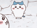 hachi puking