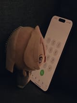 Gs2R3F6bMAAqOXb