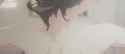 zhu yuan preparing for her daddys visit_thumb.jpg