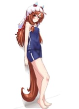sil