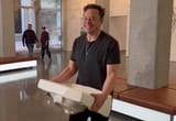 elon-sink