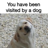 1496534414471