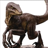 raptor