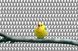1514259752808