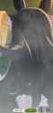Screen_Recording_20250720-012228_Umamusume_thumb.jpg