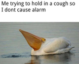 1733932154837901