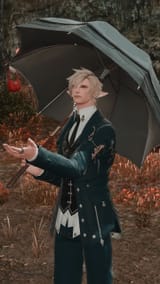 2025-06-20_09-30-07_Wifi_Seasonal_Autumn_ffxiv_dx11