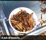 Thai delicacy