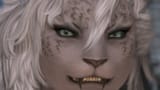 teeth