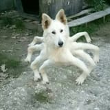 1562709620040