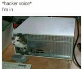 1668824225501511