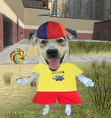 dog