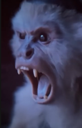 monke