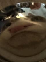 17529374139459201