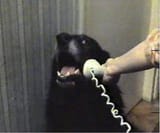1741233021888422