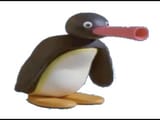 pingu