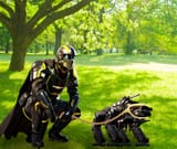 botdog