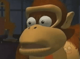 donkey-kong-what