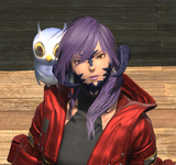 ffxiv_dx11_sg04DJXUOG