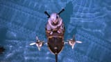 ffxiv_17072025_210448_921