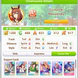 48923894