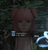 ffxiv_dx11_d65UmAlNGH