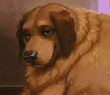 mfw