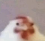 1716720198748485