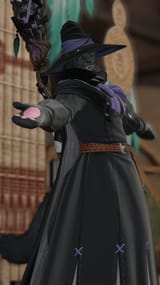 black cat witch
