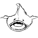 mnk
