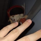 Kamay