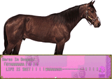 Horse Life
