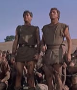 i&#039;m spartacus
